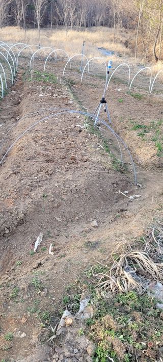 김정은님의 기타작물 · 영농일지 작성글 사진