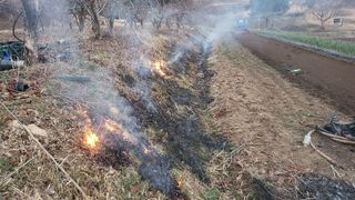 권병국님의 감자 · 영농일지 작성글 사진