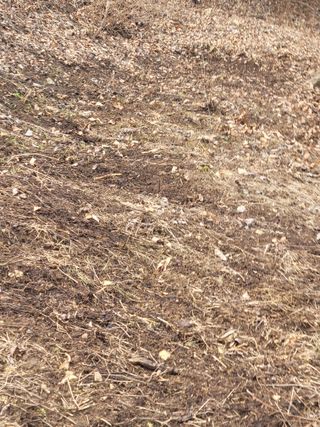 이의도님의 기타작물 · 영농일지 작성글 사진