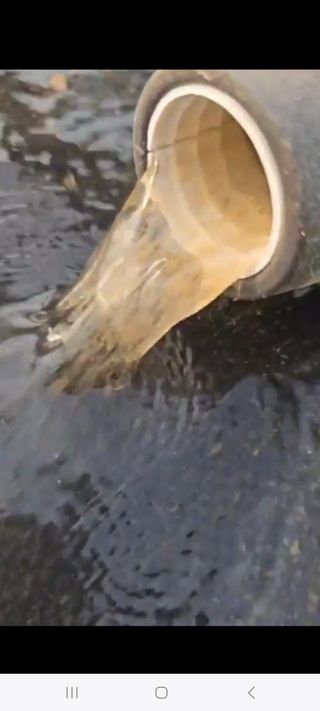 haluko님의 기타작물 · 영농일지 작성글 사진