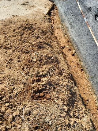 최유순님의 기타작물 · 영농일지 작성글 사진