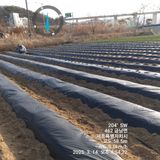 팜모닝 감자·영농일지 게시글 이미지