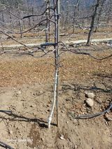 팜모닝 기타작물·영농일지 게시글 이미지