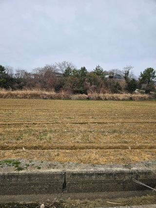 차춘석 님의 기타작물 · 영농일지 작성글 사진