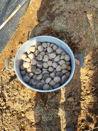 최유순님의 기타작물 · 영농일지 작성글 사진