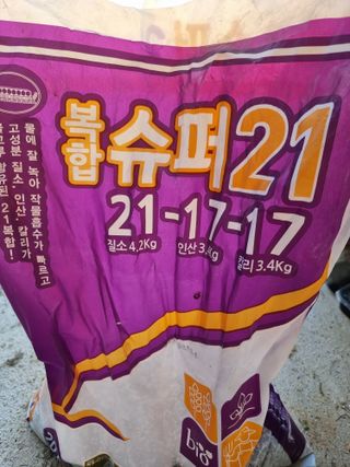 라온베리님의 마늘 · 영농일지 작성글 사진