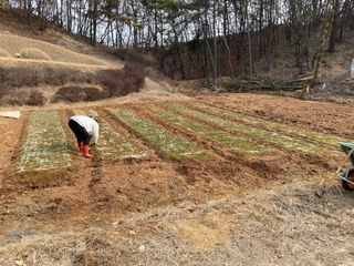 김유찬님의 기타작물 · 영농일지 작성글 사진