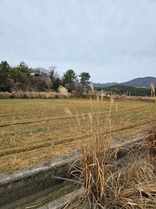 차춘석 님의 기타작물 · 영농일지 작성글 사진