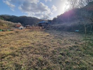 새싹님의 기타작물 · 영농일지 작성글 사진