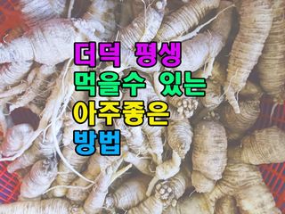 꿈꾸는텃밭님의 기타작물 · 영농일지 작성글 사진