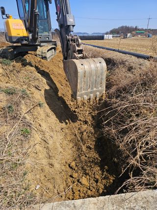 최순호님의 기타작물 · 영농일지 작성글 사진