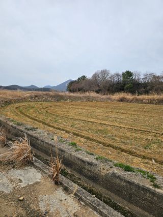차춘석 님의 기타작물 · 영농일지 작성글 사진