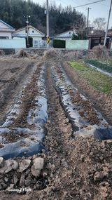 팜모닝 기타작물·영농일지 게시글 이미지