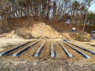 김유찬님의 감자 · 영농일지 작성글 사진