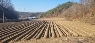 박사원농장님의 기타작물 · 영농일지 작성글 사진