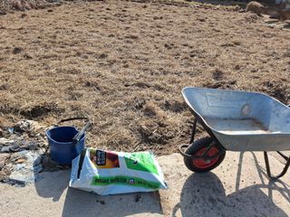 들깨 자색마 고추님의 기타작물 · 영농일지 작성글 사진