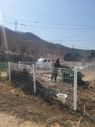 원탑님의 기타작물 · 영농일지 작성글 사진