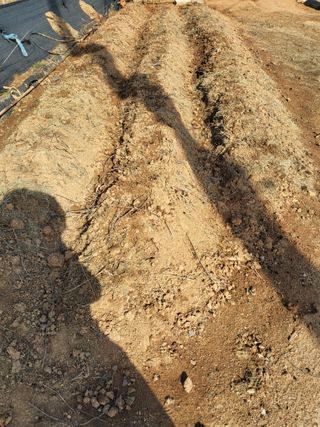 최유순님의 기타작물 · 영농일지 작성글 사진