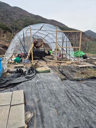 시골농부뜨돌이님의 기타작물 · 영농일지 작성글 사진