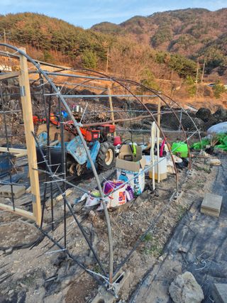 시골농부뜨돌이님의 기타작물 · 영농일지 작성글 사진