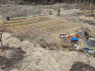 장흥식님의 기타작물 · 영농일지 작성글 사진