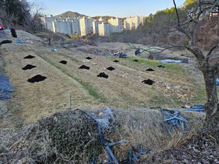 장흥식님의 기타작물 · 영농일지 작성글 사진