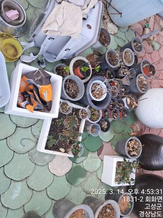 혜공 도봉현님의 기타작물 · 영농일지 작성글 사진