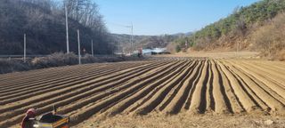 박사원농장님의 감자 · 영농일지 작성글 사진