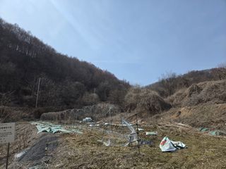 권오관님의 기타작물 · 영농일지 작성글 사진