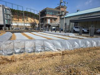 뚜벅이님의 양파 · 영농일지 작성글 사진