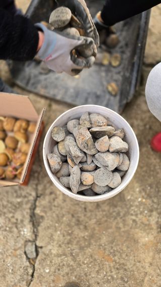 김흥환 님의 기타작물 · 영농일지 작성글 사진