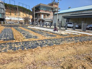 뚜벅이님의 양파 · 영농일지 작성글 사진