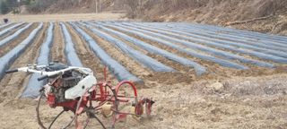 박사원농장님의 감자 · 영농일지 작성글 사진