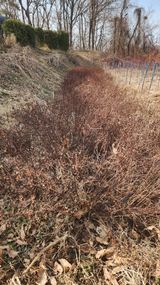 팜모닝 기타작물·영농일지 게시글 이미지