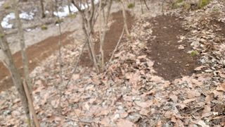 산솔바람님의 기타작물 · 영농일지 작성글 사진