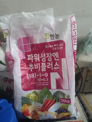 오이8898황산면님의 마늘 · 영농일지 작성글 사진