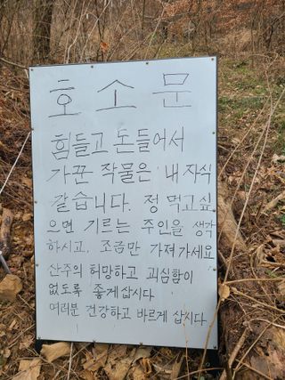 자연같이님의 두릅 · 영농일지 작성글 사진