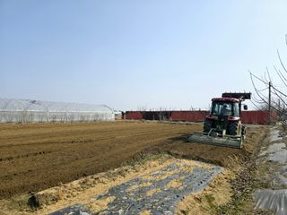 비타민님의 기타작물 · 영농일지 작성글 사진