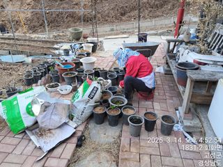 혜공 도봉현님의 기타작물 · 영농일지 작성글 사진