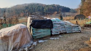 김윤회님의 고추 · 영농일지 작성글 사진