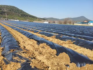 석승인님의 기타작물 · 영농일지 작성글 사진