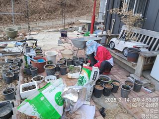 혜공 도봉현님의 기타작물 · 영농일지 작성글 사진