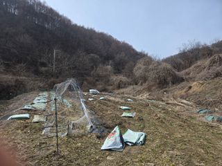 권오관님의 기타작물 · 영농일지 작성글 사진