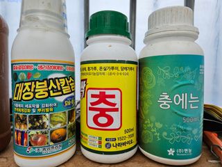 박미라님의 기타작물 · 영농일지 작성글 사진