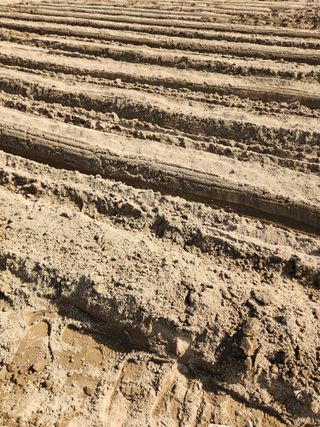 gksfid1112님의 기타작물 · 영농일지 작성글 사진