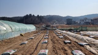 김윤회님의 고추 · 영농일지 작성글 사진