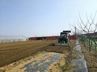 비타민님의 기타작물 · 영농일지 작성글 사진