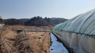 김윤회님의 고추 · 영농일지 작성글 사진