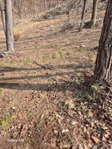 팜모닝 기타작물·영농일지 게시글 이미지