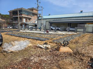 뚜벅이님의 양파 · 영농일지 작성글 사진